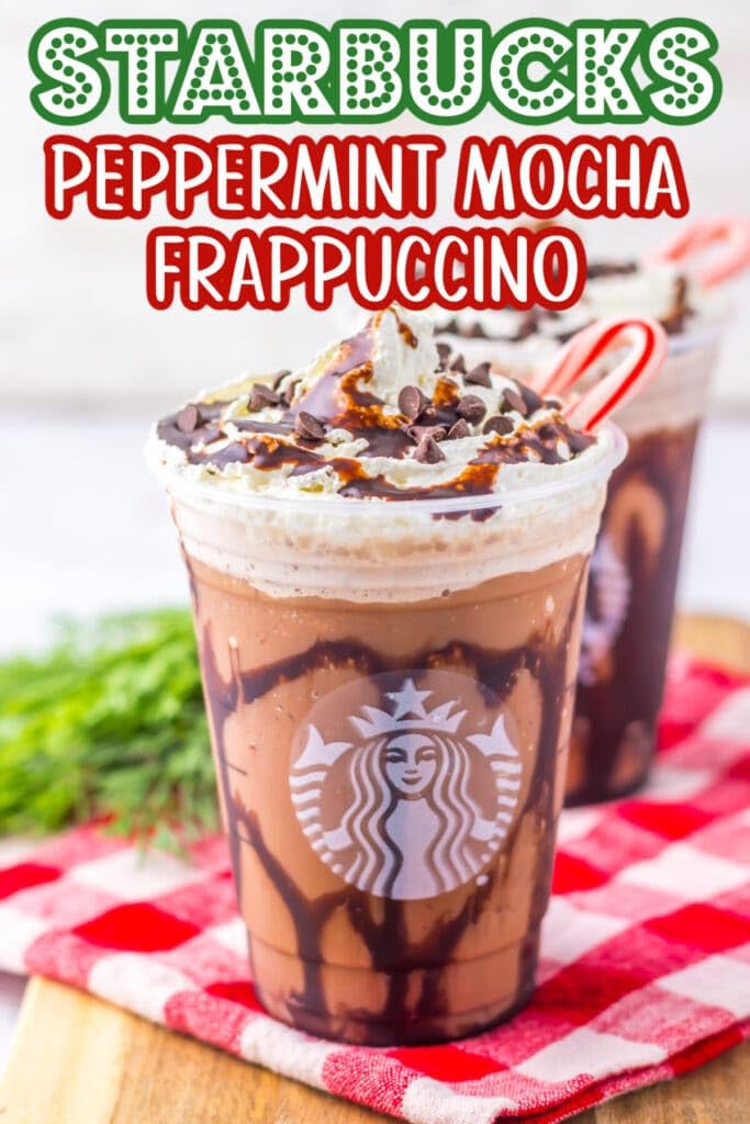 Starbucks Peppermint Syrup - Authentic Peppermint Syrup Premium Taste - Same as Used In Stores - Perfect for Coffee, Lattes, Mochas, and Desserts - 1 Liter (33.8 fl oz) Bottle - Combo With Pump