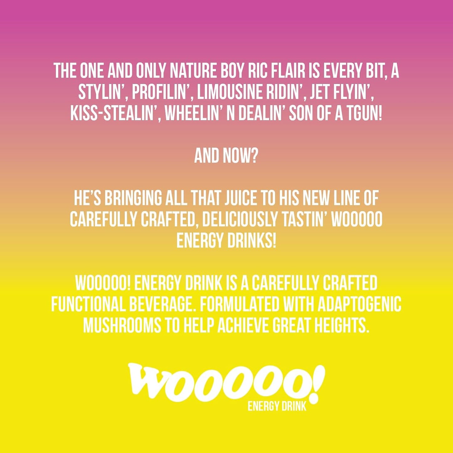 Wooooo! Energy Ric Flair Sparkling Adaptogenic Mushroom Energy Drink | Natural Antioxidants & Nootropics | Lion’s Mane & Cordyceps | 150mg Caffeine | 12 Pack (Variety Pack)